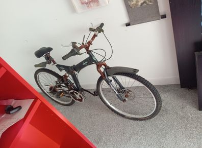 ecosmo folding bike