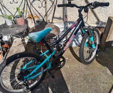 Apollo charm kids bike