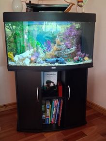Fish Tank