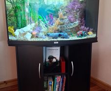 Fish Tank
