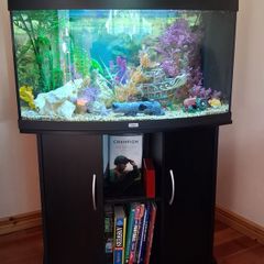 Fish Tank