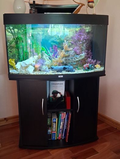 Fish Tank