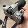 Canon EF 70-300 with Canon EOS 300v Image 7