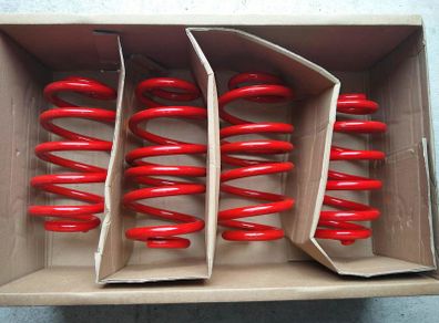 Audi A6 Skoda Superb Vw Passat B5/b5.5 Lowering Springs