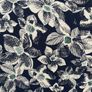 Seasalt Cornwall Seed Packet Dress Image 8