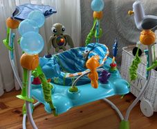 Baby bouncer