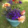 planted pot Image 3