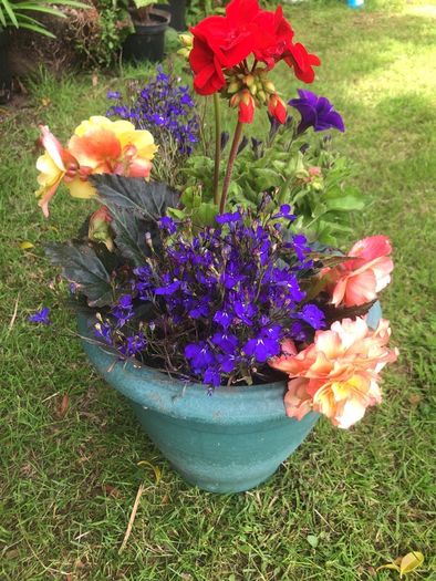 planted pot