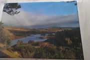 Canvas wall picture