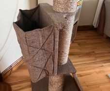 cat scratch post