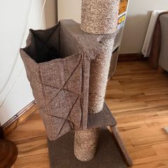 cat scratch post