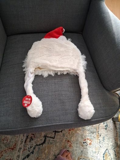 Christmas novelty santa hat.