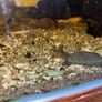 aquarium Image 8