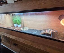vivarium