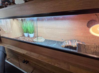 vivarium