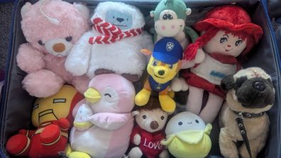 toy