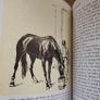 Collier's Junior Classics (Vol 9: Call of Adventure) Hardback 1964 Image 7