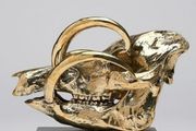 Wild Pig Skull (30cm) - Polished Bronze