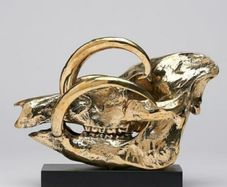 Wild Pig Skull (30cm) - Polished Bronze