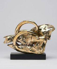 Wild Pig Skull (30cm) - Polished Bronze