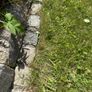 cobblestones Image 4