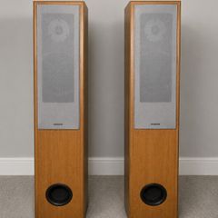 Sanyo Floor Speakers