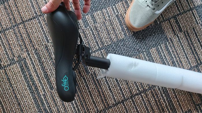 Electric Bike Fiido D2