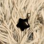 Black Star Pendant Glossy Statement Charm Image 4