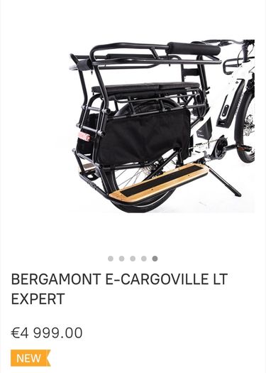 Electric Bike