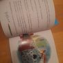 Ladybird Picture Books x2 Image 2