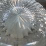 Tyrone Crystal Large bowl with intricate fan & diamond pattern Image 10