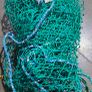 Net Image 2
