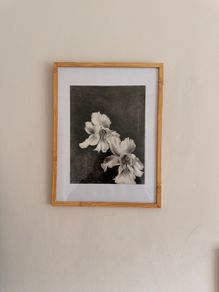 Original Charcol Floral Drawing