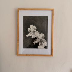 Original Charcol Floral Drawing
