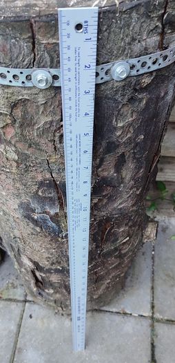 Vintage Yard Stick