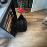 Cybex Car Seat & Isofix Base Image 4