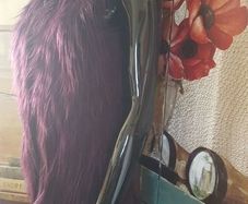 Noisy Nay Faux Fur Gilet