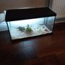 Fish Tank Image 4