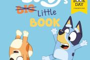 Children books (price for 2 book) small world books