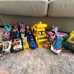paw patrol collection