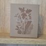 MOLTON BROWN Worth 56e Woody and Aromatic Eau de Parfum Discovery Set Image 2