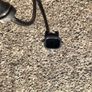 Nissan Note Rear RH ABS Sensor (New in box) Image 5