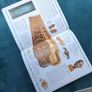 My Best Book of Mummies Image 5