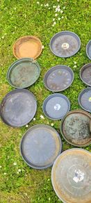Plant pot saucers