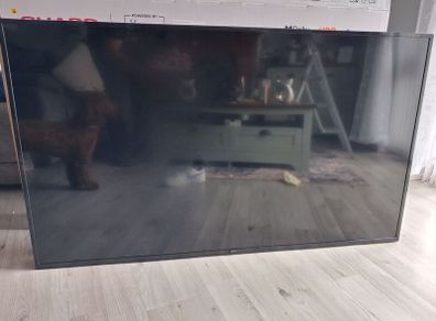 Philips 60"