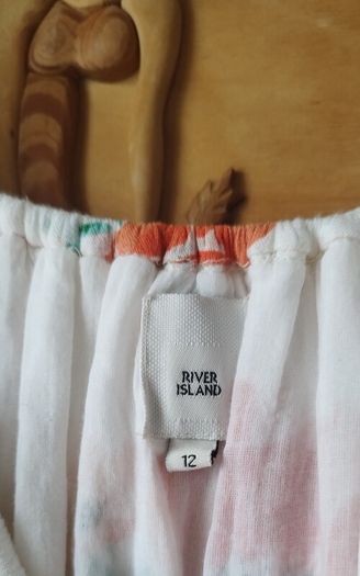 Pretty River Island dress