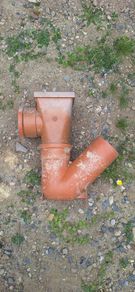 Drain universal gully trap and bend