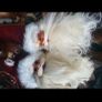 xmas stuff Image 10