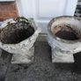 planters Image 2