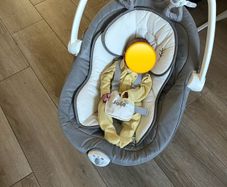 Joie Sansa Baby Swing